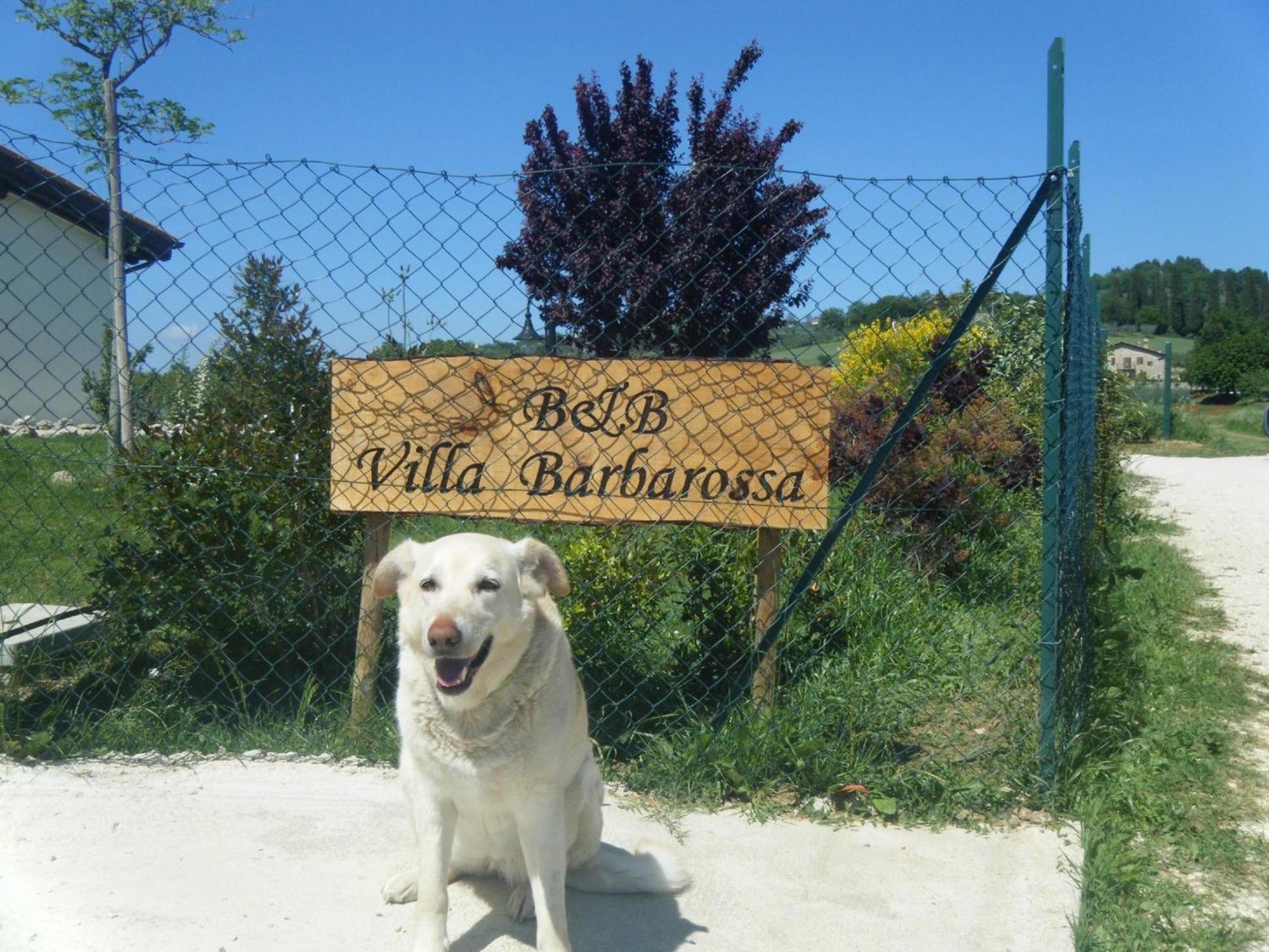 B&B Villa Barbarossa Petrignano Extérieur photo